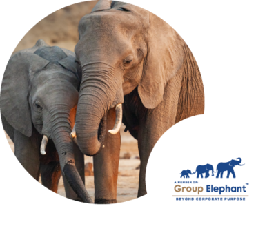 Group Elephant. Eine partnerschaft mit sinn und zweck